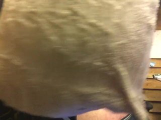 Paddin Clip