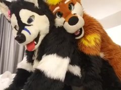 Furry Suits Porn - Fursuit Mff Videos and Gay Porn Movies :: PornMD