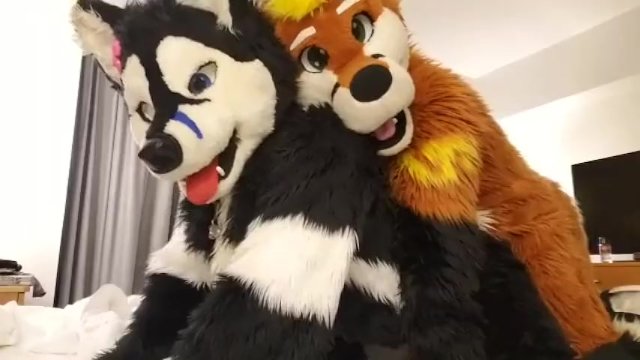 Taiky X Johnny Huskey Mff 2019