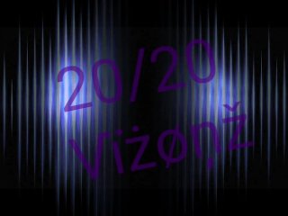 2020Viiiiizion