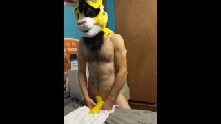 Furry Humping A Yellow Rabbit Toy Inside A Yellow Rabbit's Head