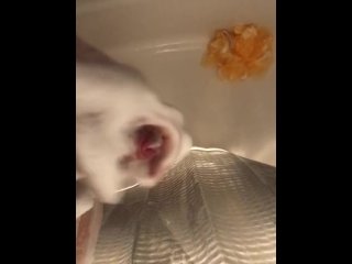 Small Uncut Cock Shower Jerk Off Jack Off