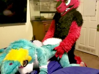 Spike Bareback Breeds Piper The Bun Doggy Style @Sucarioad