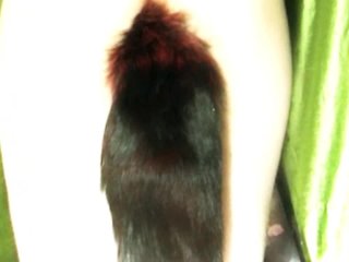 My Foxy Tail 16.5 And Cameltoe?