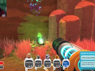 Finding Something Mysterious: Slime_Rancher (Part 4)