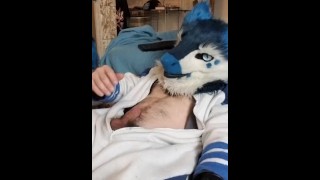 Fursuit Sergal Kobaruto Is Horny And Licks His Paws