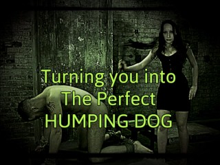 Turning you into the_perfect humping_dog