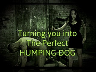 Turning you into the perfect humping_dog
