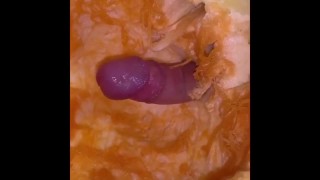 Cum FAT BEAR AND MY UNCUT COCK COMPILATION BREEDING TWO PUMPKINS