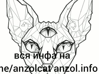 Ласки Члена, Без Смазки. Anzol
