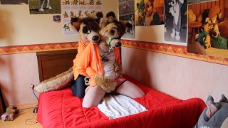 A Tethered Dingo Is Severely Overstimulated