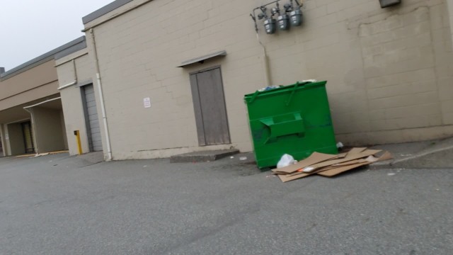 I Pissed behind a Dumpster