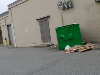I Pissed Behind A Dumpster