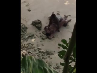 Jamaicans Fucking On The Beach