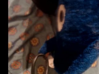 Shark Plush Part 1