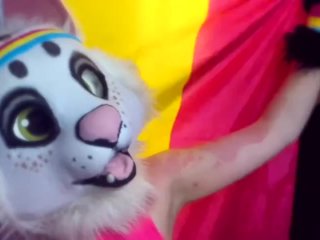 Nori Cat Wants To Wish You A Happy Pride 2020