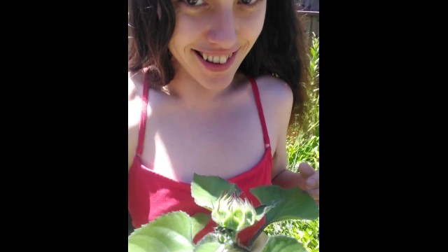 Pink Moon Teases Nipple with a Sunflower Bud Outdoors Garden outside -  Pornhub.com