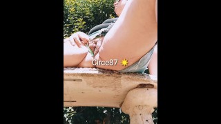 Pipi al parco pubblico su una panchina spycam