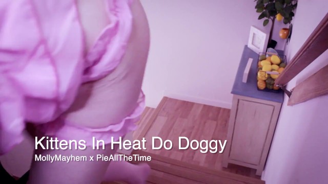 Kittens in Heat do Doggy Preview