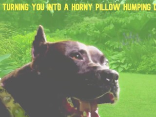 Mesmerized to become My_Pillow Humping Dog