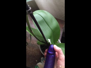 Free Plant Porn Videos (238) - Tubesafari.com