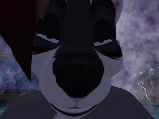 Space_Raccoon Butt Invasion - POV Furry Sex
