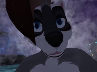 Space Raccoon_Butt Invasion - POV Furry Sex