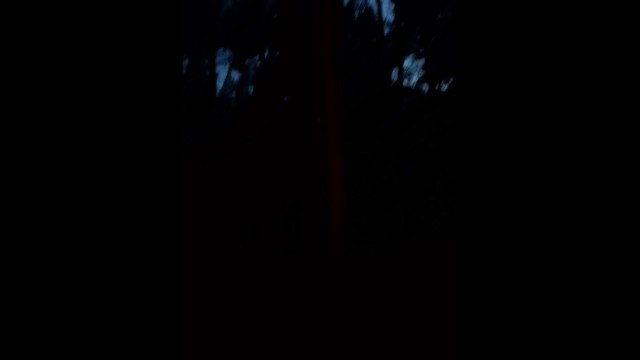 Страстная лесби сделала мне кунилингус среди ночи в лесу у костра.