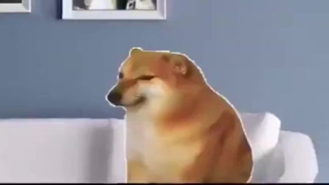 Doge Meme Porn - Life of Cheems(very Sad) - Pornhub.com