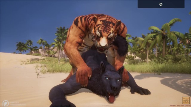 Wild Life / Gay Furry Porn Black Wolf with Tiger