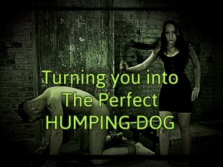 Turning You Into the PerfectHumping Dog