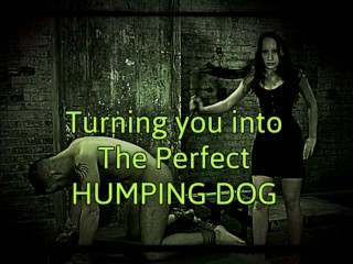Turning you_into the perfect humping_dog