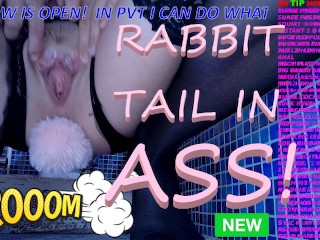 Epic in toilet wow now ass plug rabbit...