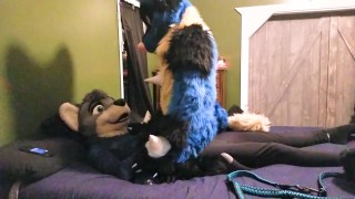 Breeding Sucario Rides On Top Of Paradox And Steals His Seed