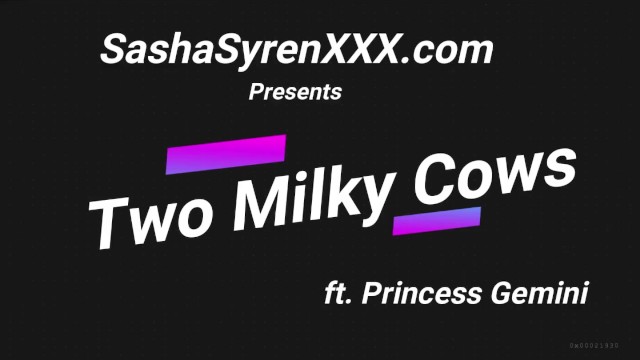 2 milky Cows Sasha Syren  - Princess Gemini