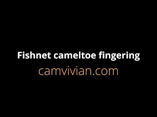 Fishnet cameltoe fingering