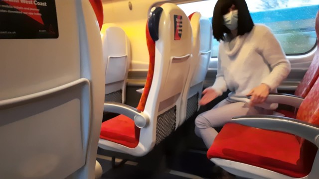 Public Dick Flash In The Train Ended Up With Risky Handjob And Blowjob From A Stranger Got