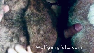 Wolfgangfultz Barebacks Silver Daddy With A Hairy Cigar Muscle Bear
