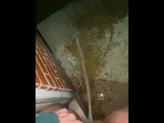 Naughty Slut is too lazy to use the bathroom and opens up the door and pisses outside!