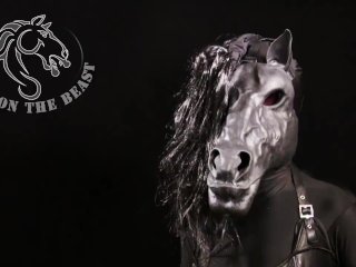 Shemale Horse Enjoying Itself