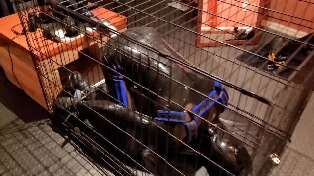 Anal Cage - Relentless Anal Plowing of a Restrained Rubber Gimp in a Cage, Locked in  Chastity and Gagged - Pornhub.com