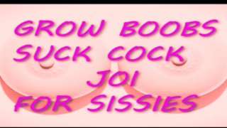 the ultimate sissy game Grow your boobs sissy bois JOI Style BEATS INCLUDED