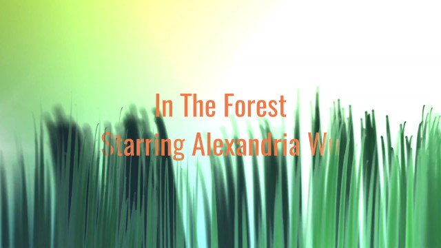 In The Forest Promo 14