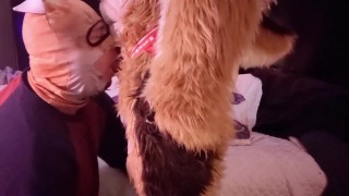Fursuit Slutty Fox Sucks On Santa Claus