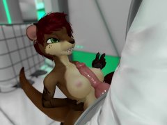 240px x 180px - Furry Titfuck Videos and Porn Movies :: PornMD