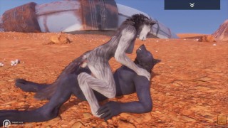 Wolf Creampie In A Wild Life Furry Porn