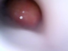 Cumming in a Fleshlight (recorded using an endoscope)