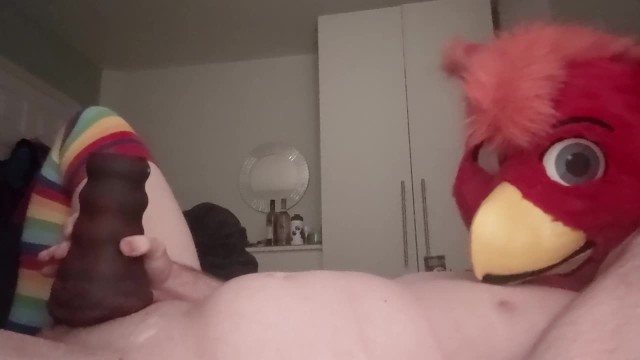 640px x 360px - Bird Fursuiter Fucking Bad Dragon Hazel the Werewolfess Penetrable -  Pornhub.com