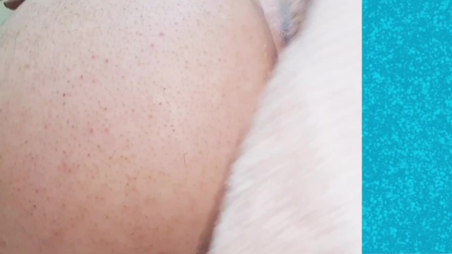 Ass shaving, rimjob, hairy ass, ass eating, Girlfriend licking my my ass, after shaving it