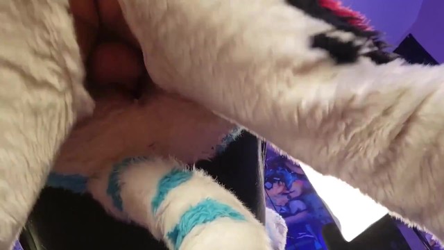 Straight Furry Porn Fursuit - Fursuit Sling Fuck - Pornhub.com